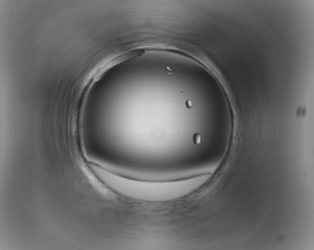 X0000114110909200910051510