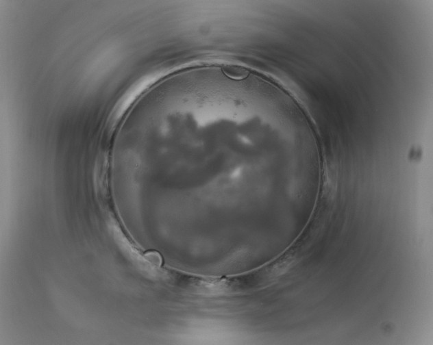 X0000114110911200910051510