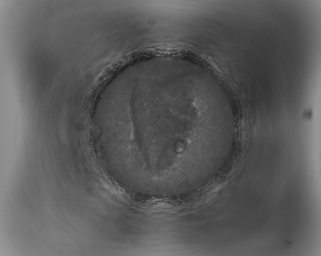 X0000114110913200910051509