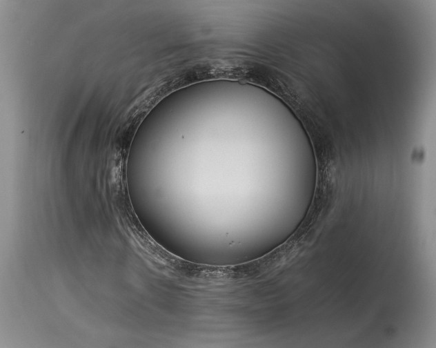 X0000114110914200910051509