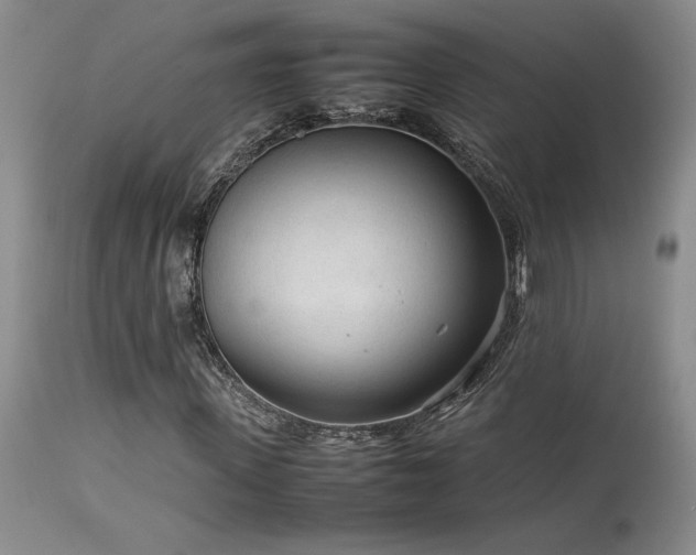 X0000114110915200910051509