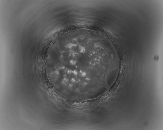 X0000114110917200910051509