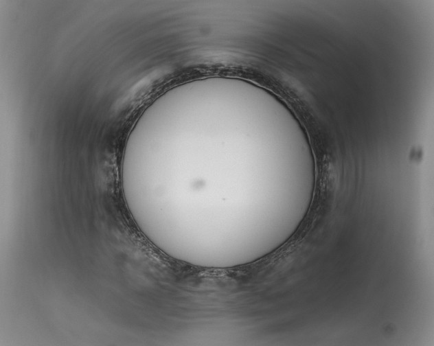 X0000114110918200910051510