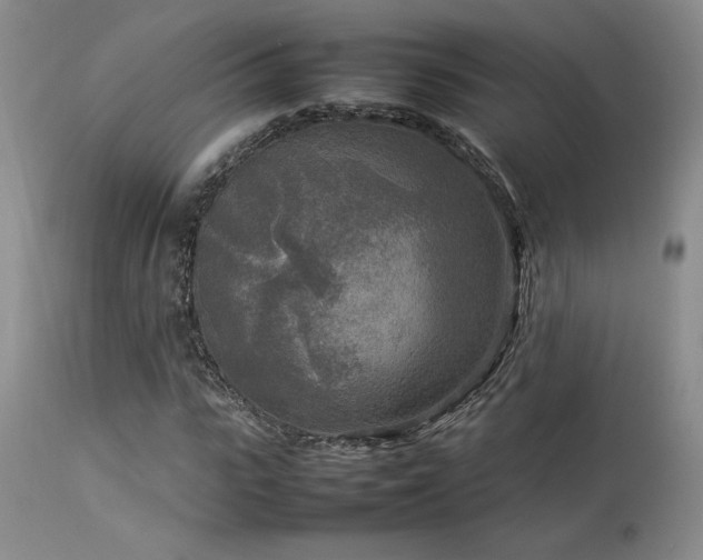 X0000114110919200910051510