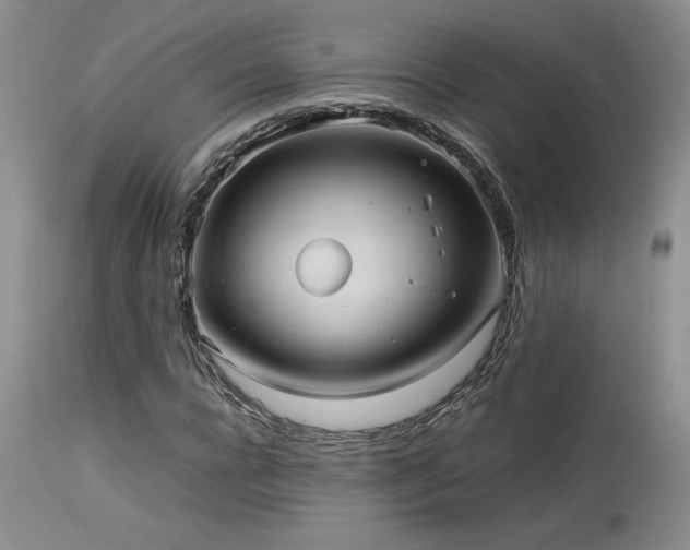 X0000114110920200910051510
