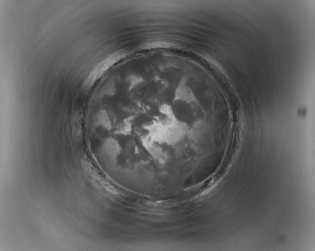 X0000114110921200910051510