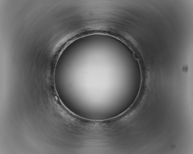 X0000114110922200910051510