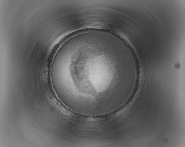 X0000114110923200910051510