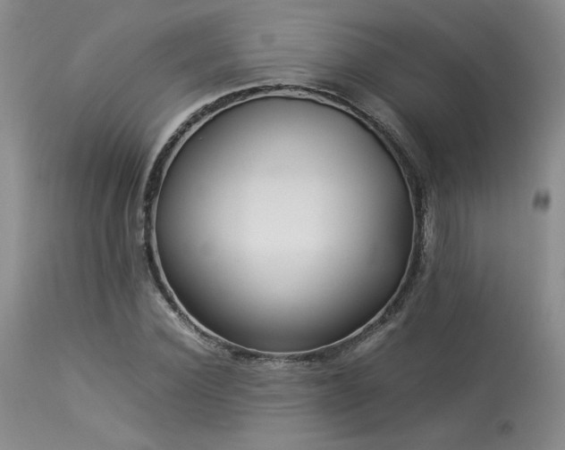 X0000114110924200910051510