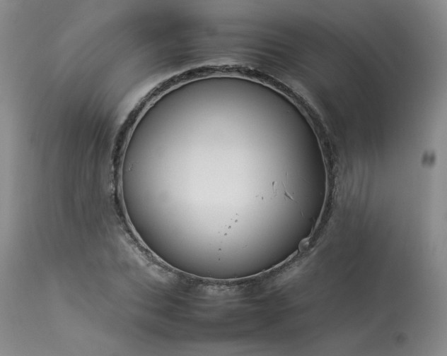 X0000114110927200910051510