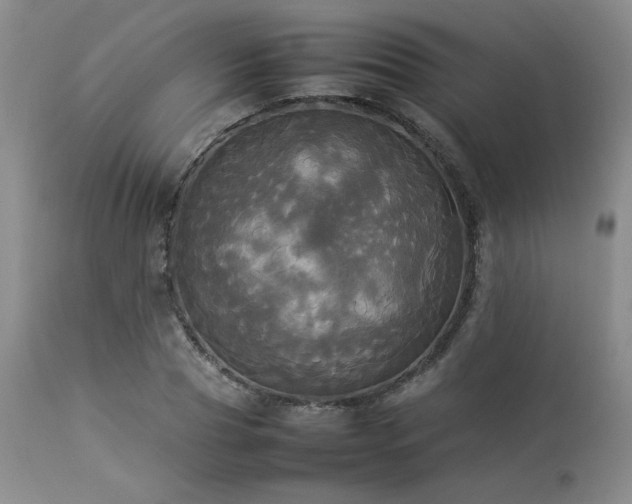 X0000114110929200910051510