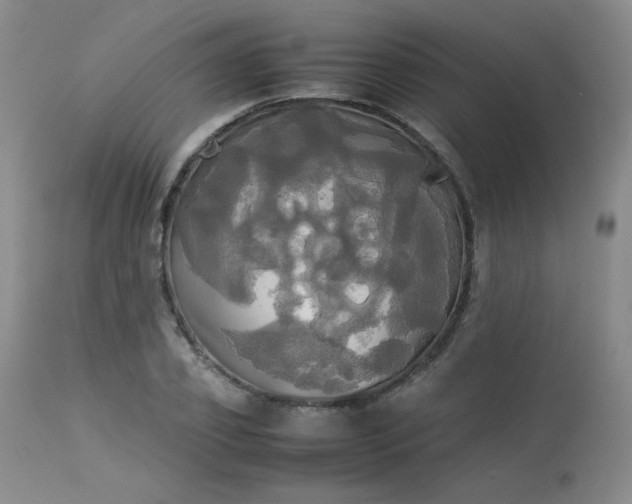X0000114110933200910051510