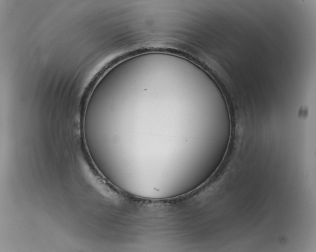 X0000114110934200910051510
