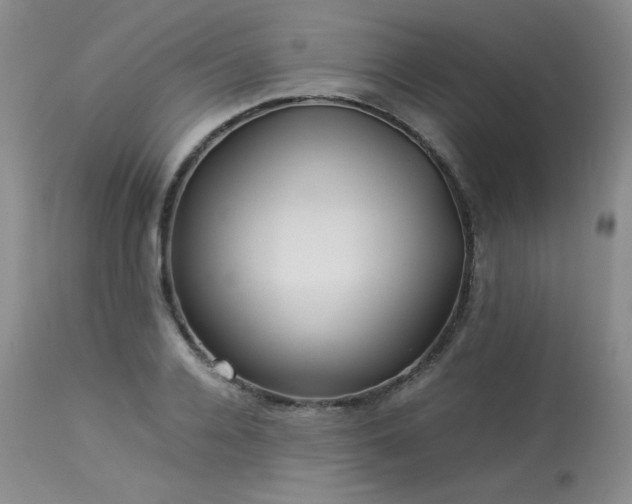 X0000114110936200910051510