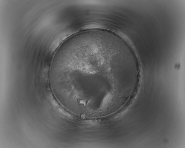 X0000114110937200910051510