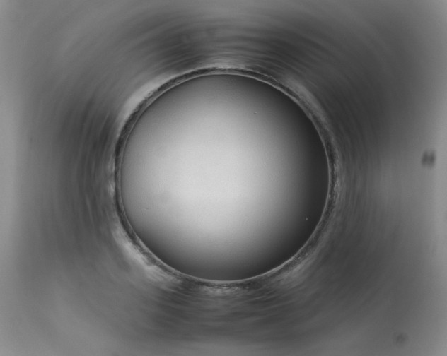 X0000114110939200910051510