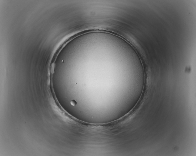 X0000114110940200910051510