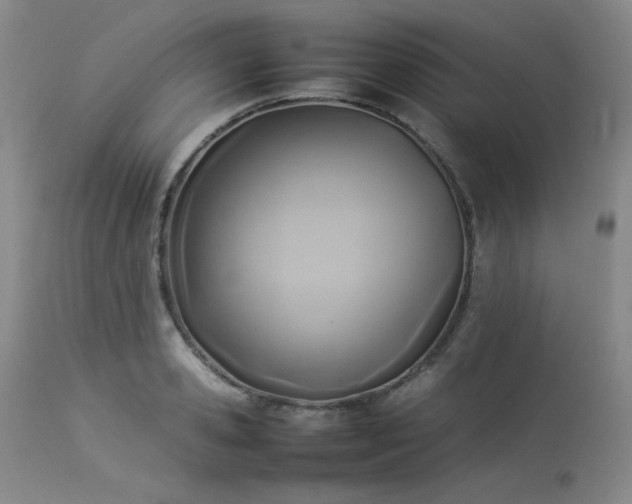 X0000114110941200910051510