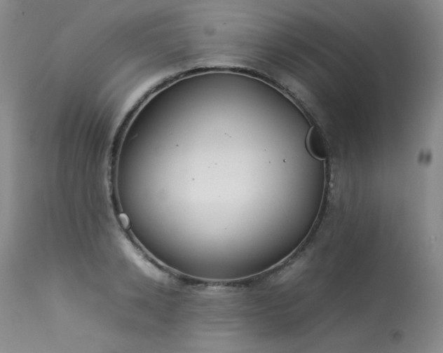 X0000114110942200910051510