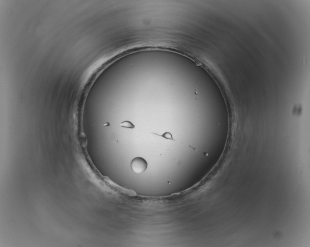 X0000114110944200910051510