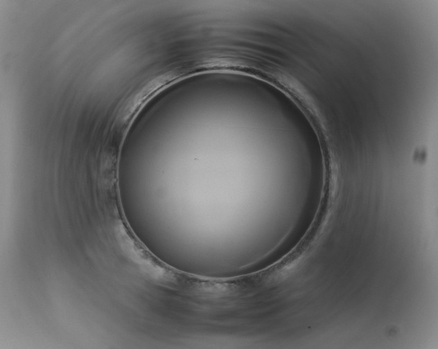 X0000114110945200910051510