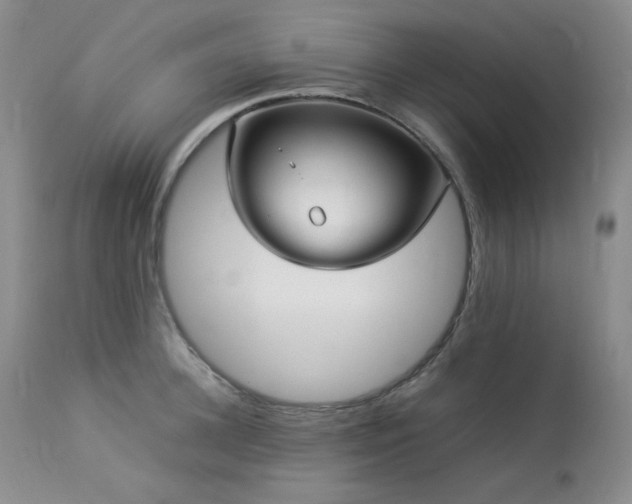 X0000114110948200910051510
