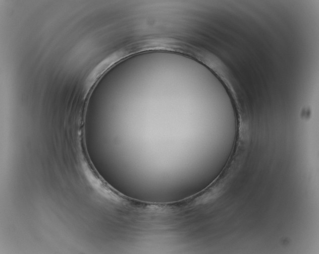 X0000114110954200910051510