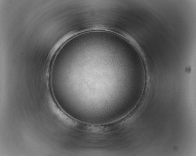 X0000114110955200910051510