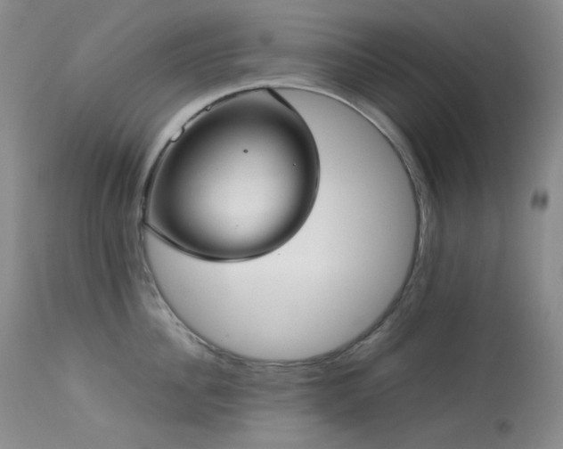 X0000114110956200910051510