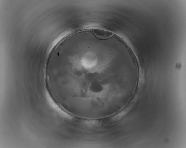 X0000114110957200910051510