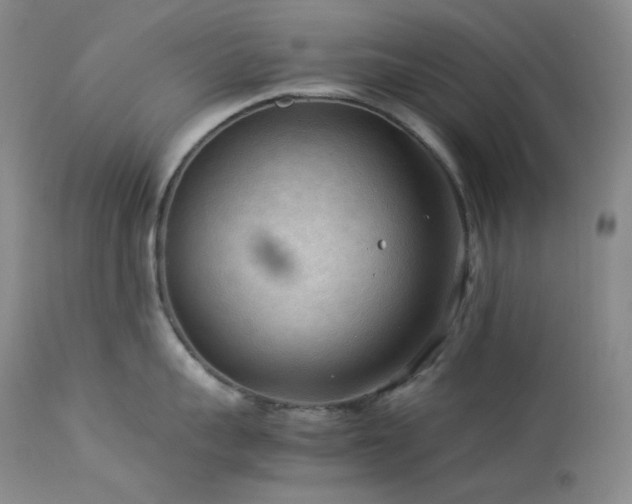 X0000114110959200910051510