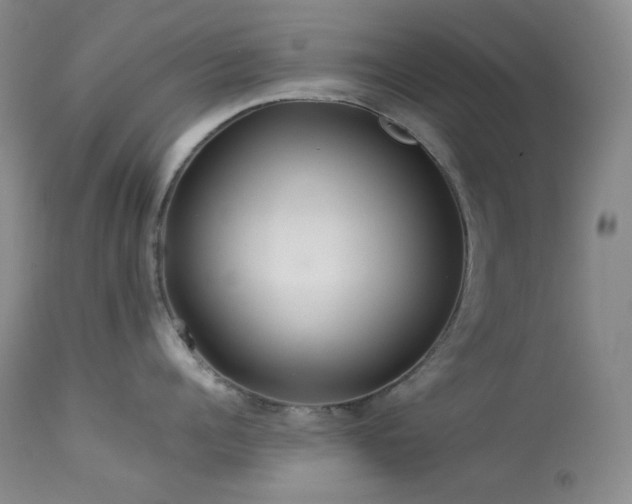 X0000114110960200910051510