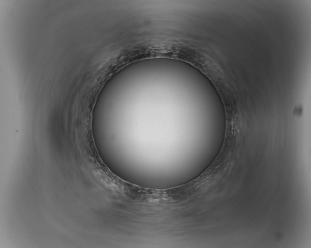 X0000114110961200910051509