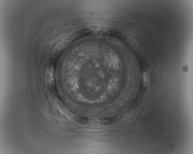 X0000114110963200910051509