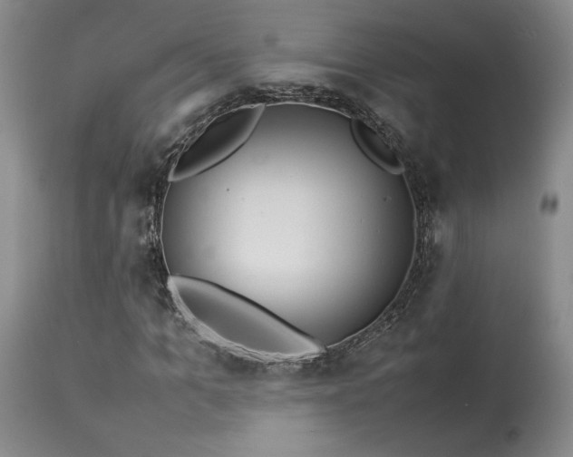 X0000114110965200910051509