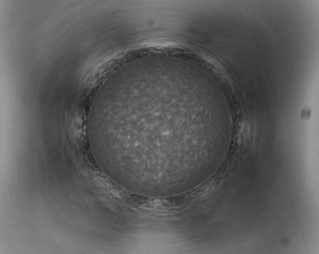 X0000114110966200910051509
