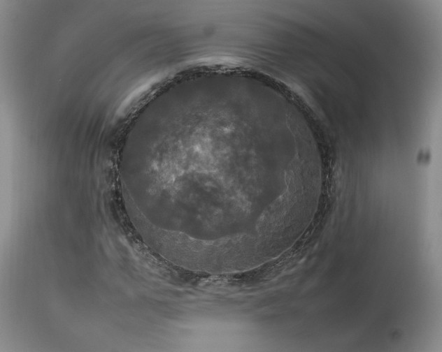X0000114110967200910051509