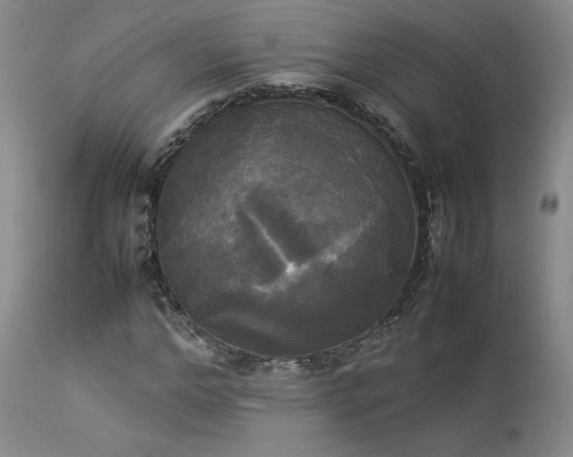 X0000114110968200910051509