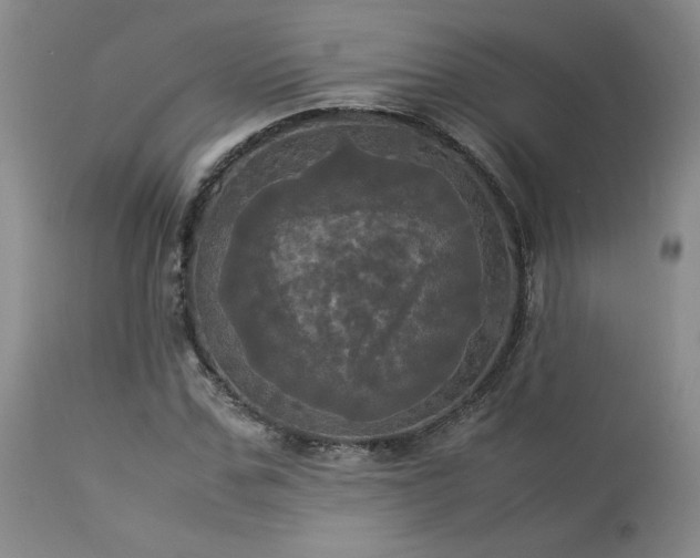 X0000114110971200910051509