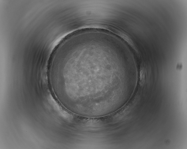 X0000114110972200910051509