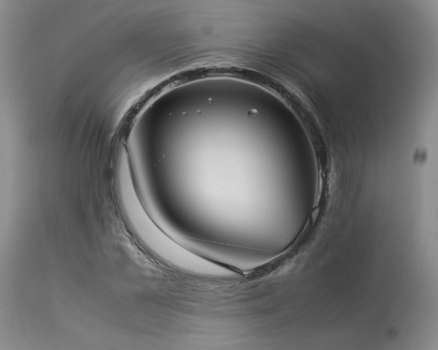 X0000114110973200910051509