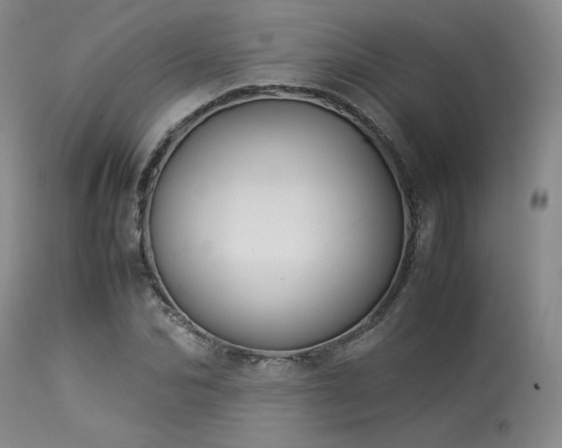 X0000114110974200910051509