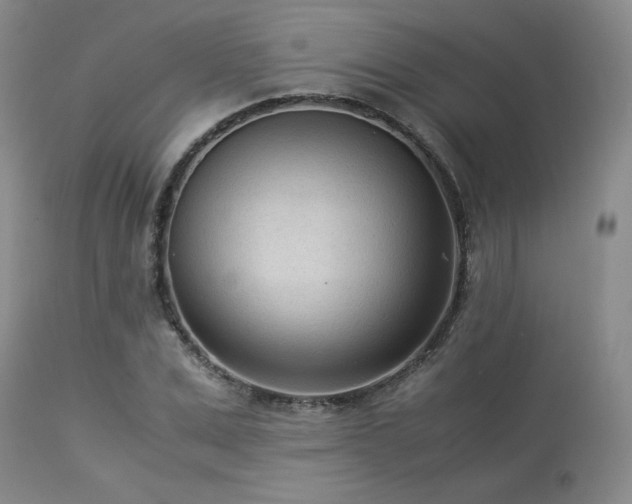 X0000114110975200910051509