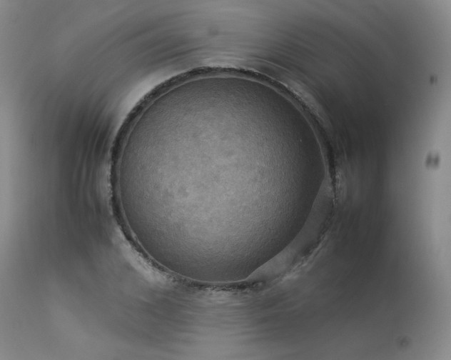 X0000114110976200910051509