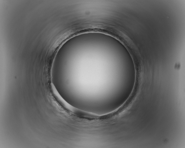 X0000114110977200910051509