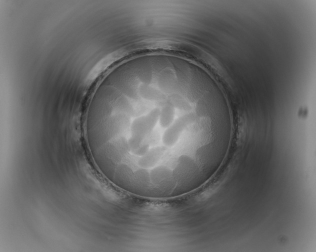 X0000114110978200910051509
