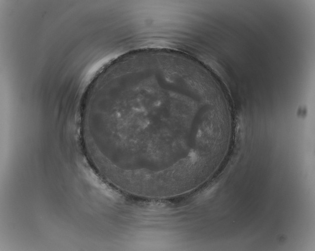 X0000114110979200910051509