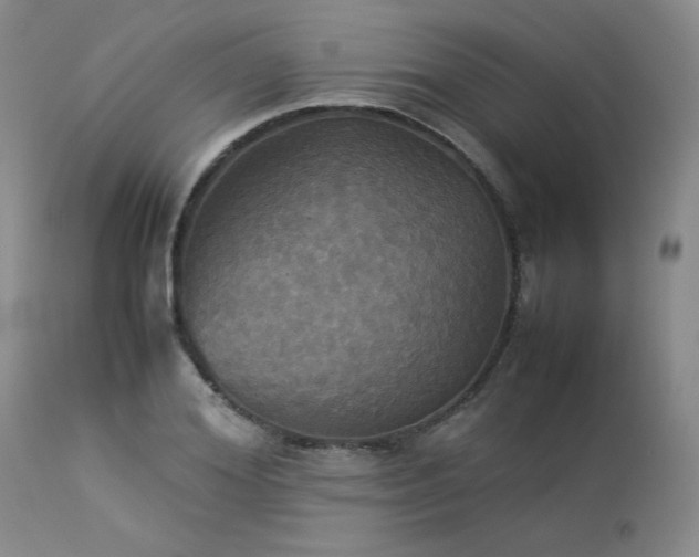X0000114110980200910051509