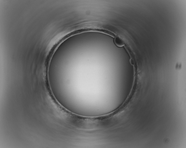 X0000114110981200910051509