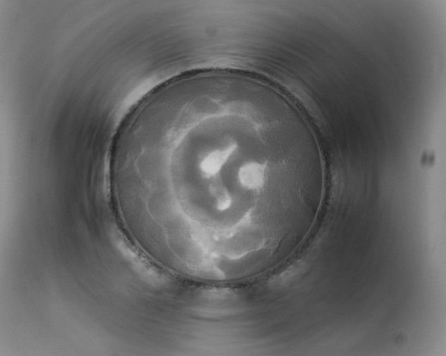 X0000114110982200910051509